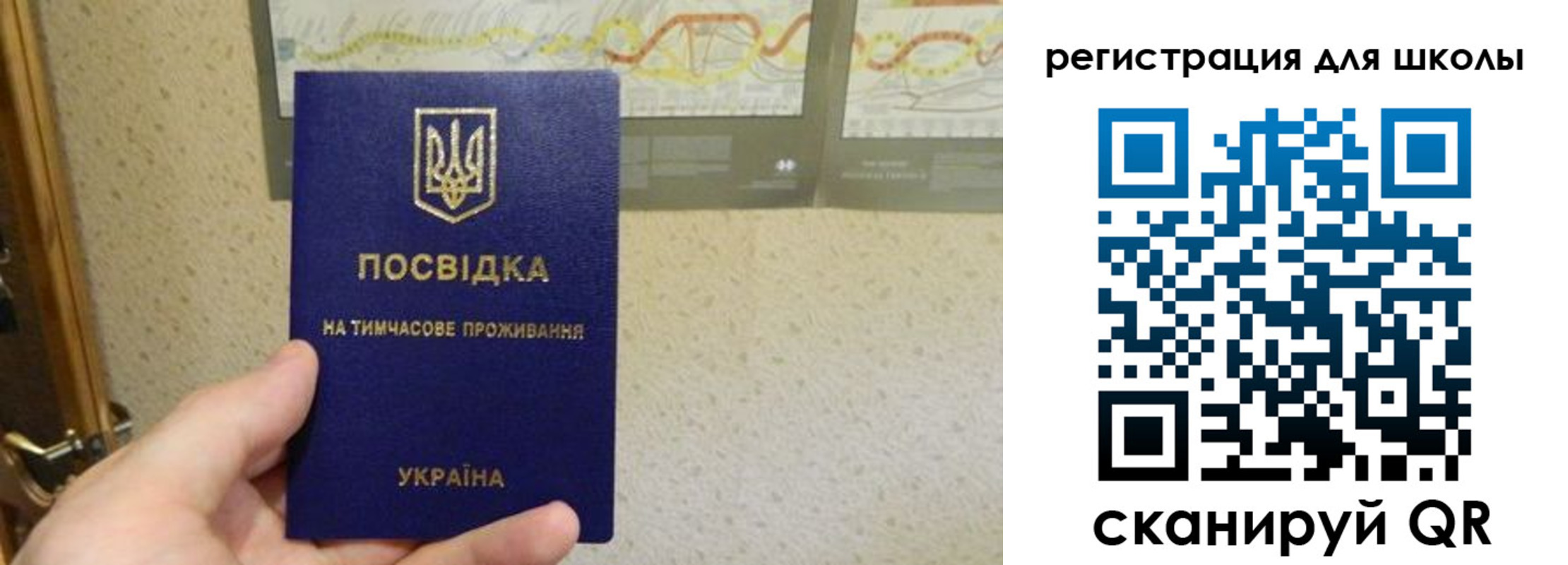 временная прописка в Мурино